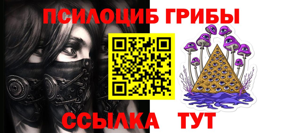 Галлюциногенные грибы Cubensis Сегежа