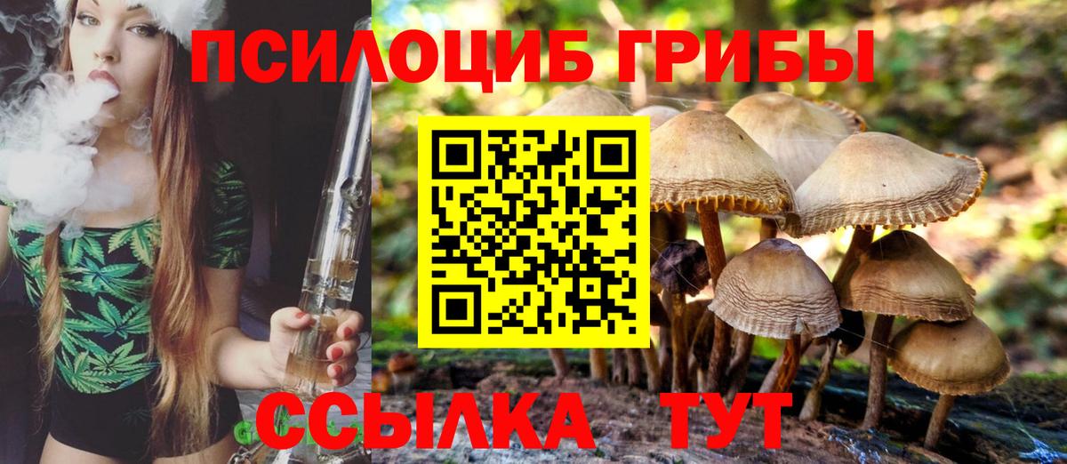 Сегежа  Псилоцибиновые грибы Magic Shrooms  Вход с VPN 
