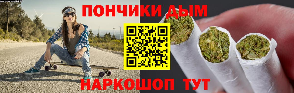 Конопля сатива Сегежа
